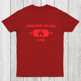 Cinnabar Island Gym Chicluma T-Shirt