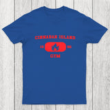 Cinnabar Island Gym Chicluma T-Shirt