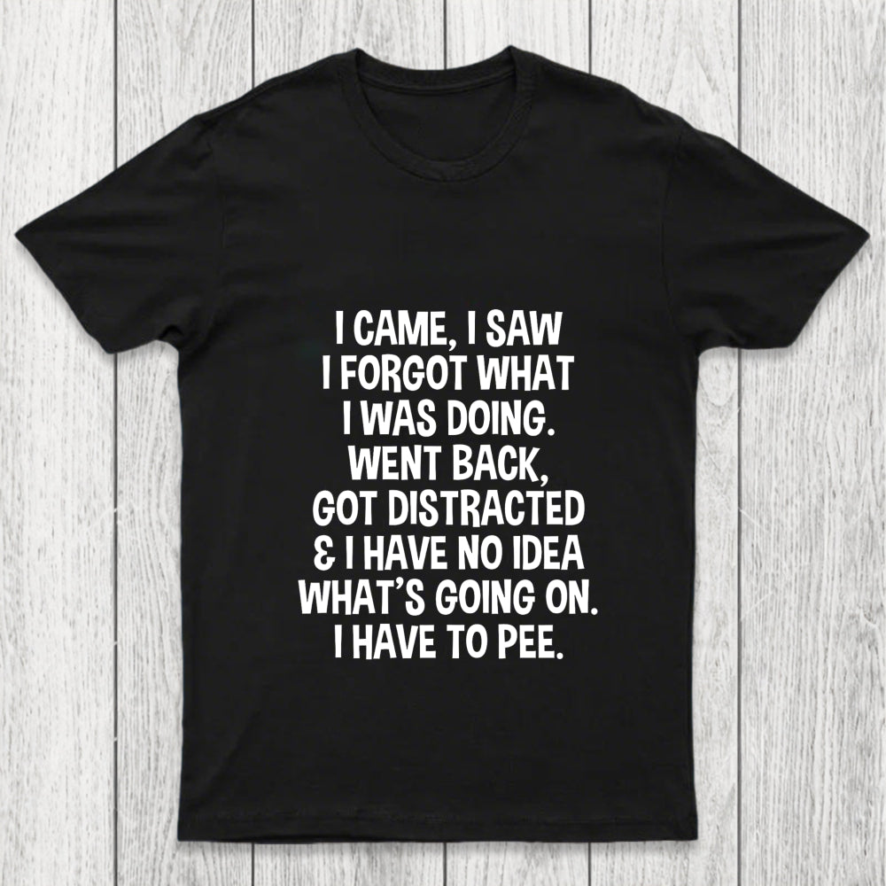 I Came I Saw I Forgot What I Was Doing Chicluma T Shirt