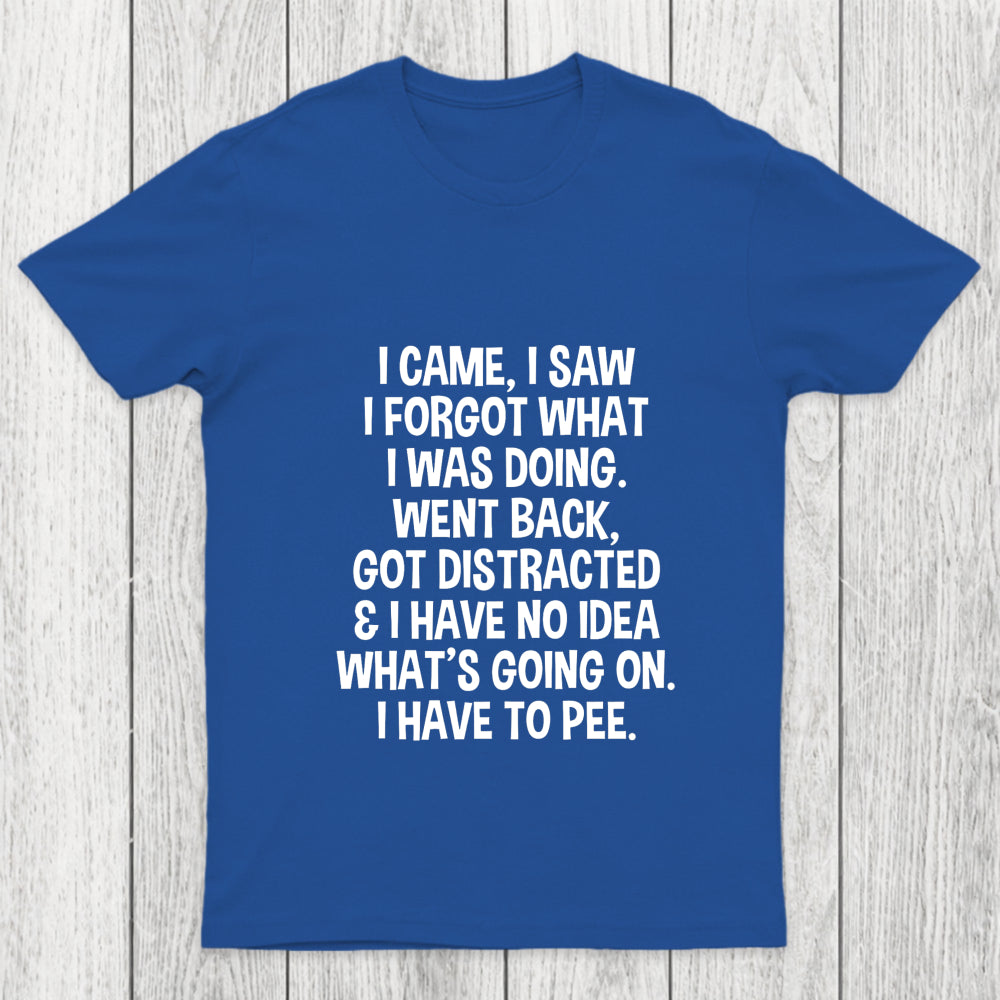 I Came I Saw I Forgot What I Was Doing Chicluma T Shirt
