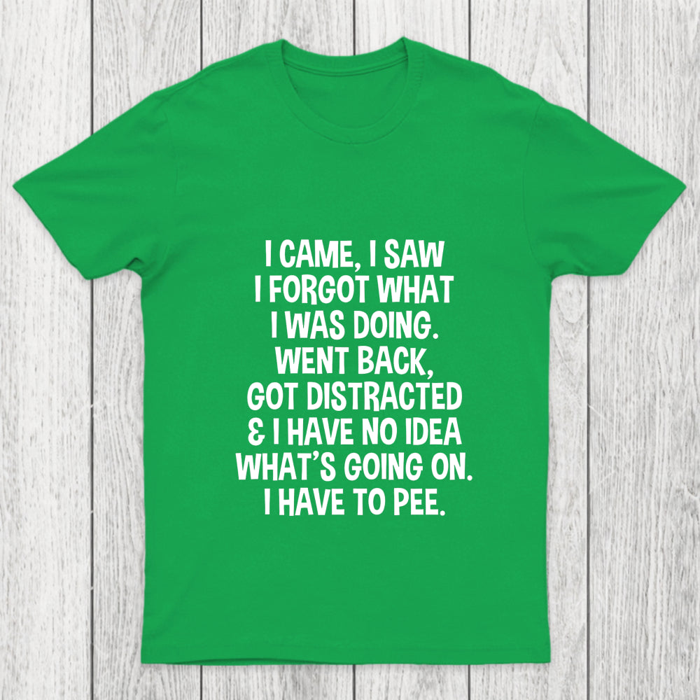 I Came I Saw I Forgot What I Was Doing Chicluma T Shirt