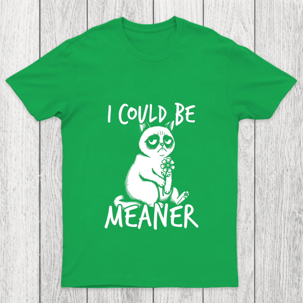 I Could Be Meaner Chicluma T Shirt