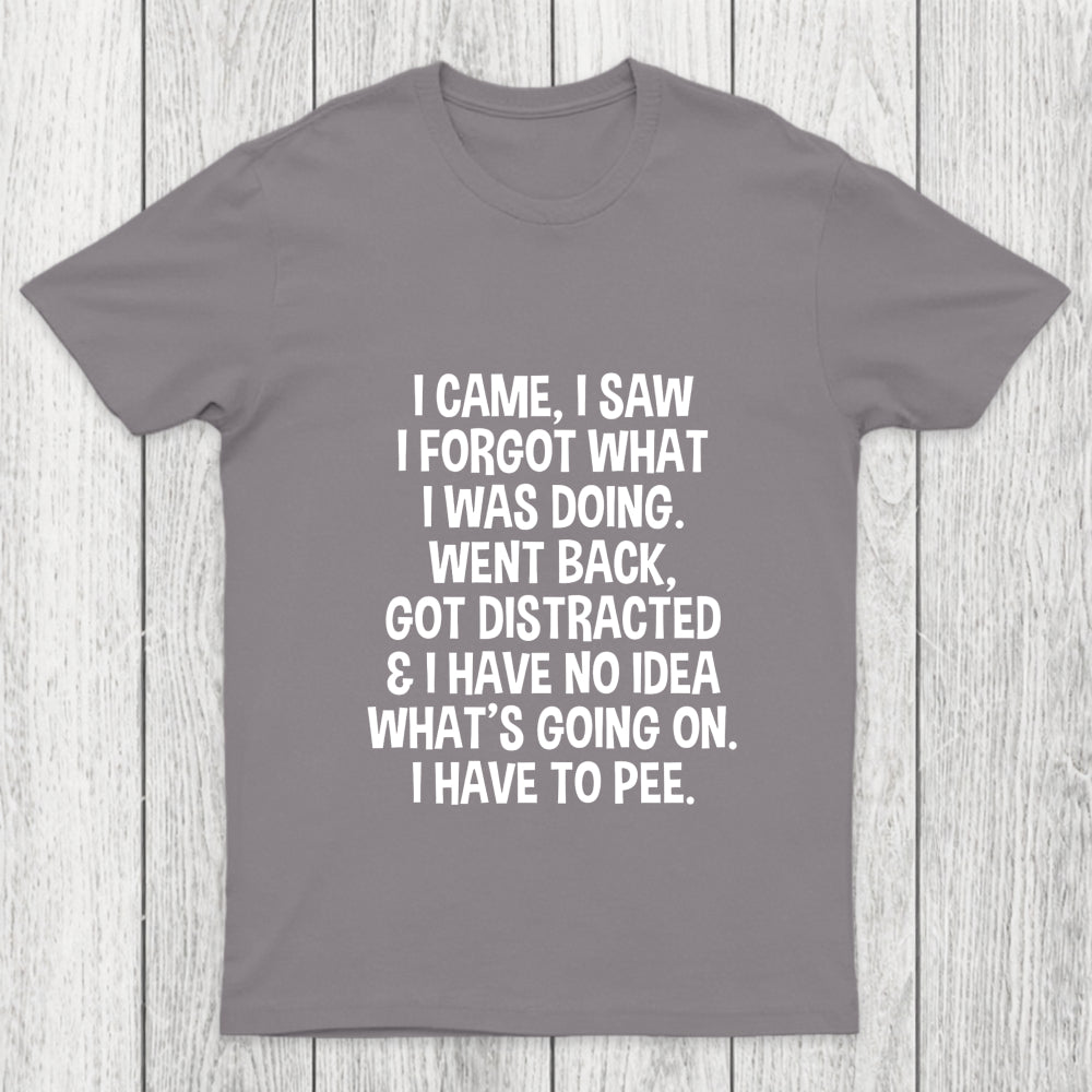 I Came I Saw I Forgot What I Was Doing Chicluma T Shirt