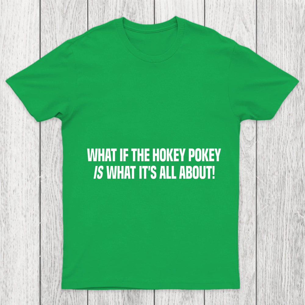 What If The Hokey Pokey Is What Its All About Chicluma T Shirt
