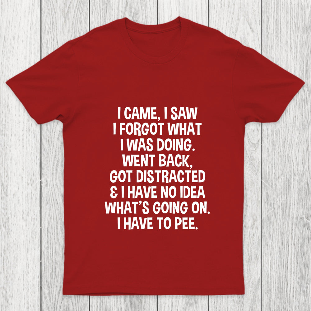 I Came I Saw I Forgot What I Was Doing Chicluma T Shirt