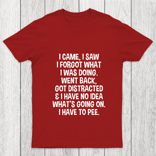 I Came I Saw I Forgot What I Was Doing Chicluma T Shirt