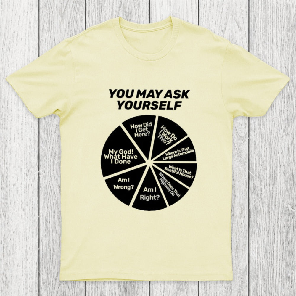 You May Ask Yourself Pie Chart Chicluma T-Shirt