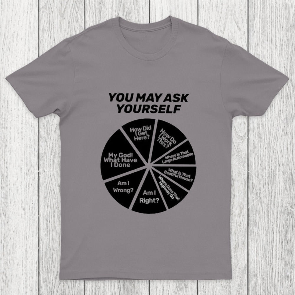 You May Ask Yourself Pie Chart Chicluma T-Shirt