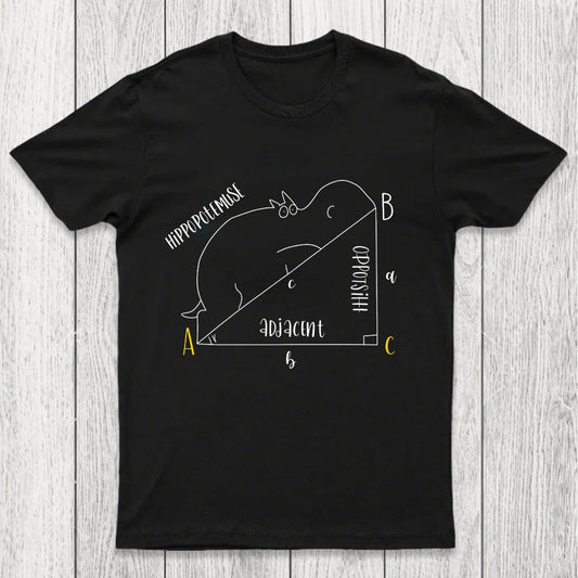 Interesting Math Chicluma T-Shirt