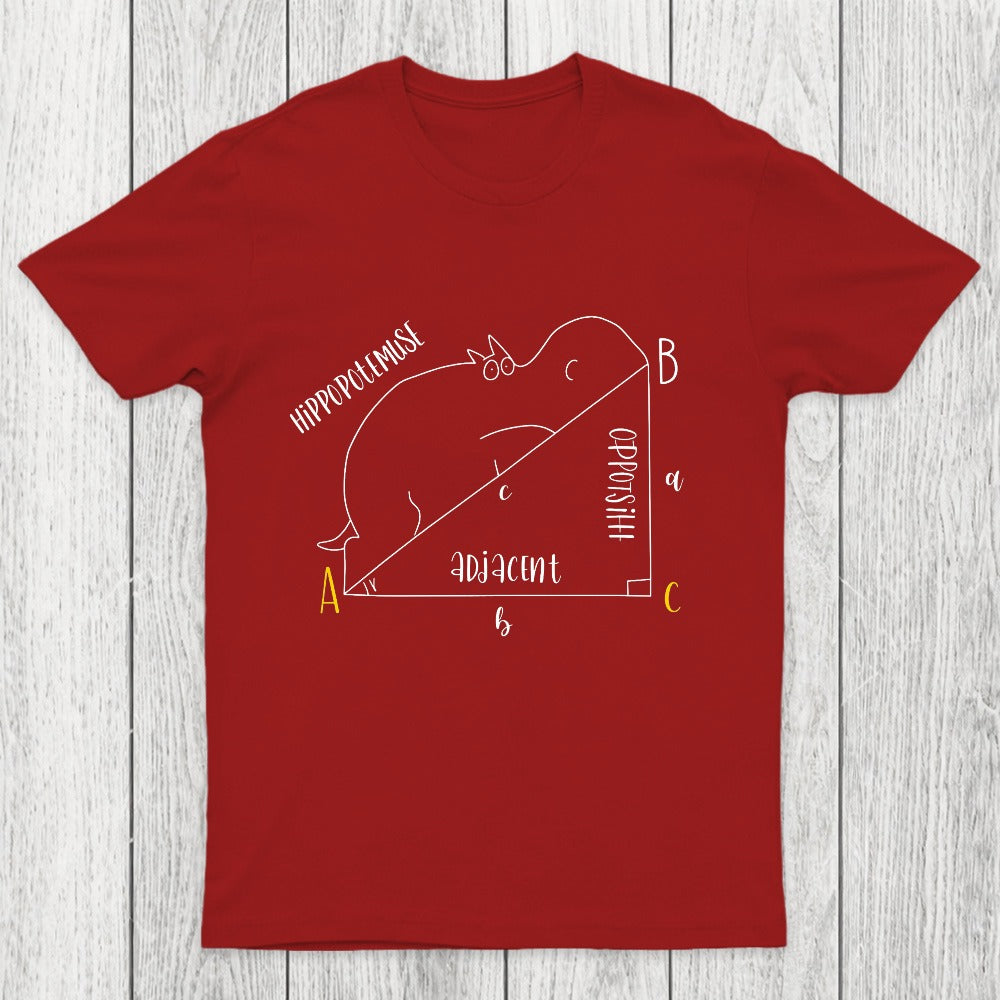 Interesting Math Chicluma T-Shirt