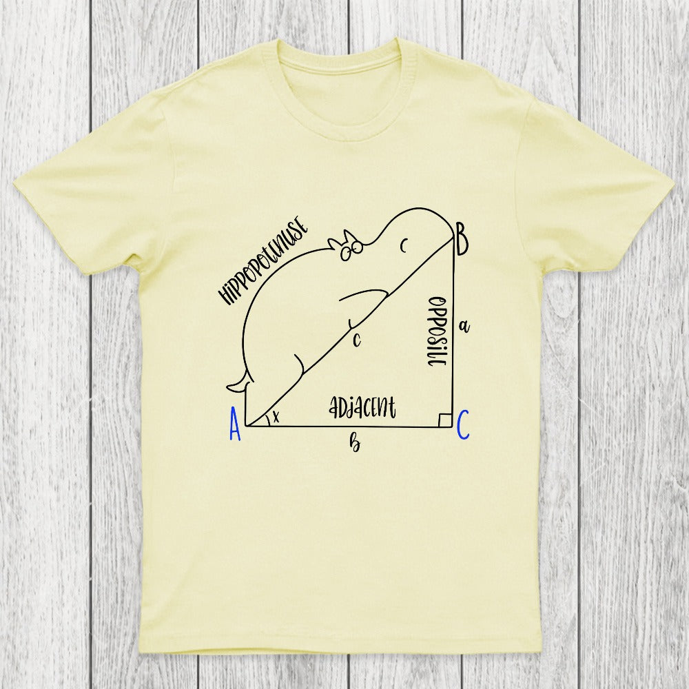 Interesting Math Chicluma T-Shirt