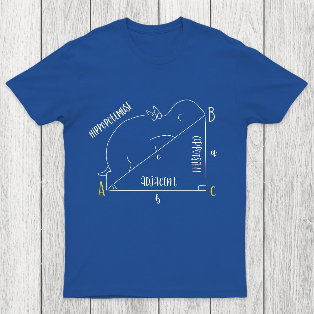 Interesting Math Chicluma T-Shirt