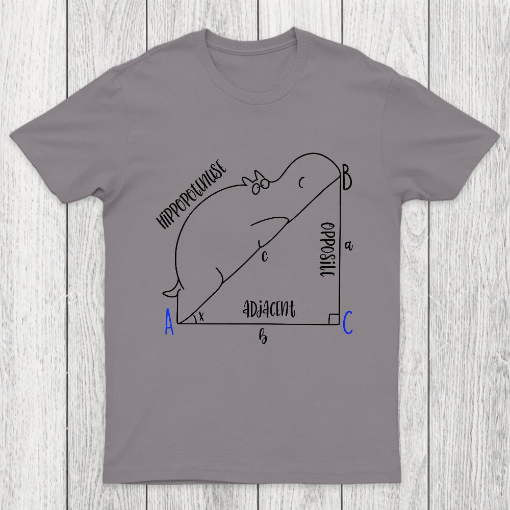 Interesting Math Chicluma T-Shirt